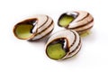 Escargots de Bourgogne isolated Royalty Free Stock Photo