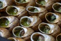 Escargots de Bourgogne - Snails with garlic butter, close up