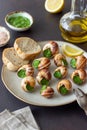 Escargots de Bourgogne. Snails with herbs butter. Healty eating. French food Royalty Free Stock Photo