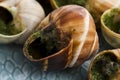 Escargots with garlic butter