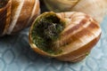 Escargots with garlic butter Royalty Free Stock Photo