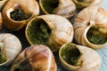 Escargots with garlic butter