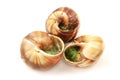 Escargots a la Bourguignonne Royalty Free Stock Photo