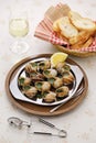 Escargots, French food Royalty Free Stock Photo