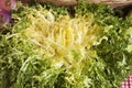 Escarole Royalty Free Stock Photo