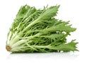 Escarole Endive