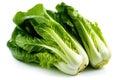 Escarole On A White Background Without Shadows. Generative AI Royalty Free Stock Photo