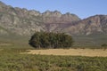 Landscape of Elandsberg Nature Reserve in the Western Cape, South Africa