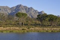 Landscape of Elandsberg Nature Reserve in the Western Cape, South Africa