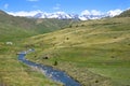 Escarra river with snowy mountains in the background, Huesca Pyrenees Royalty Free Stock Photo