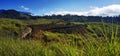 Escavator at Work.  Near Mt Hagen, Western Highlands Province, Papua New Guinea Royalty Free Stock Photo