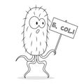 Escherichia Coli Cell Vector Cartoon Colorless