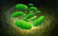 Escherichia coli, colony of bacteria 3D illustration