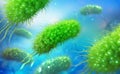 Escherichia coli, colony of bacteria 3D illustration