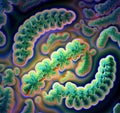 E.Coli bacterium