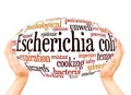 Escherichia coli word cloud hand sphere concept