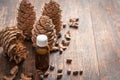 Esential Cedar Oil and Nuts, selective focus Royalty Free Stock Photo
