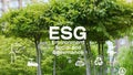 ESG environmental social governance investment business concept. ESG icons.
