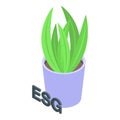 Esg plant pot icon isometric vector. Social company