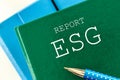 ESG report, Environmental, social and governance areas, type of non financial report