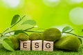 ESG on the wooden blocks, Concept of environmental, social and corporate governance, The idea of sustainable development
