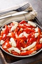 Esgarraet valenciano or esgarrat is a typical dish of Spanish cuisine made of cod fish, bell peppers and garlic closeup on the