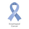 Esophageal Cancer awareness month in April. Adenocarcinoma. Squamous cell carcinoma. Periwinkle color of the ribbon