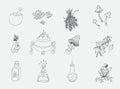 Esoteric magic witchcraft attributes doodle set. Colorless design Royalty Free Stock Photo