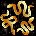 Esoteric Mystic occult magical sacral snakes in gold