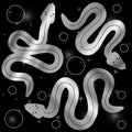 Esoteric Mystic occult magical sacral snakes in silver