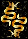 Esoteric Mystical occult magical sacral snakes with stars and constellations in gold