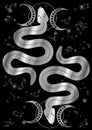 Esoteric Mystical occult magical sacral snakes with stars and constellations in silver