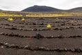 Esoteric place of power-a spiral made of stones against the background of a volcanic hill, Kamchatka, Russia.