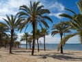 Espagne palmiers