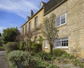 Espalier pear tree growing on Cotswold House