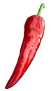 Numex espanola improved chile, paths Royalty Free Stock Photo