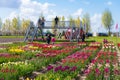 Tulip show garden