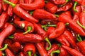 Espelette peppers Royalty Free Stock Photo