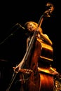 Esperanza Spalding (American jazz bassist, cellist and singer) performs at Auditori Royalty Free Stock Photo