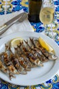 Espeto, Malaga style fish on stick barbecue prepared on olive tree firewoods served with dry fino sherry wine