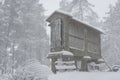 Espigueiro traditional structure for corn storage on a snow white winter landscape with snow falling in the north of Portugal Royalty Free Stock Photo