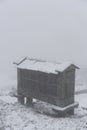 Espigueiro traditional structure for corn storage on a snow white winter landscape with snow falling in the north of Portugal Royalty Free Stock Photo