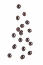 Espresso chocolate balls falling isolated on white background Royalty Free Stock Photo