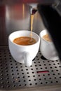 Espresso coffe making with professional machine