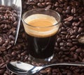 Espresso coffee in glass cup with coffee beans. Royalty Free Stock Photo