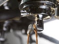 Espresso extraction with a proffessional coffee machine