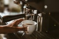 espresso machine in coffee shop counter offering freshly brewed coffee. coffee maker concept Royalty Free Stock Photo