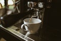 espresso machine in coffee shop counter offering freshly brewed coffee. coffee maker concept Royalty Free Stock Photo