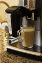 Espresso machine pours fresh cappuccino coffee close-up Royalty Free Stock Photo
