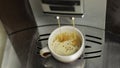 Espresso shot pouring out from coffee machine in small white and brown cup. Close up Royalty Free Stock Photo